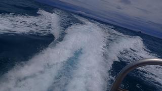 サイパンダイビング