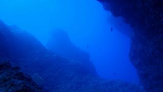 サイパンダイビング