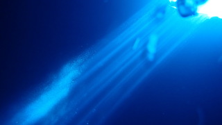 サイパンダイビング