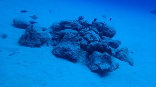 サイパンダイビング