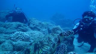 サイパンダイビング