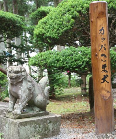 常堅寺 河童の狛犬