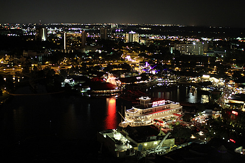 キャラクターズ・イン・フライト夜景