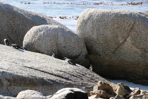 ボルダーズビーチ