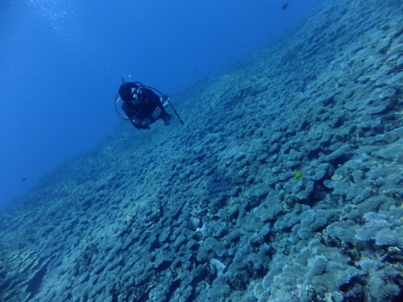 サイパン ダイビングショップ