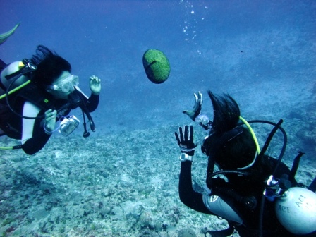 サイパン 体験ダイビング