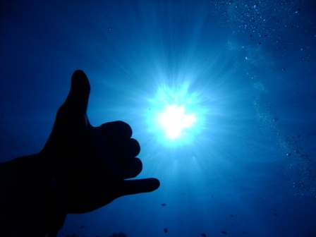 サイパン ダイビングショップ