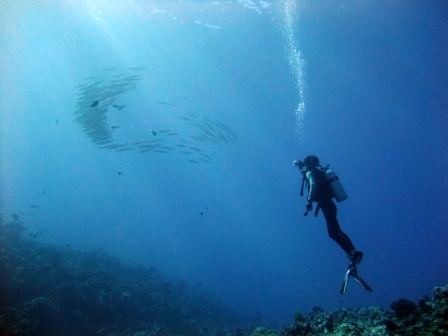 サイパン ダイビング