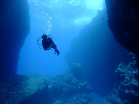 サイパン ダイビングライセンス