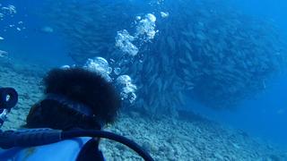 サイパンダイビング