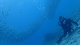 サイパンダイビング