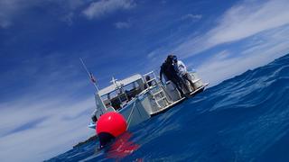 サイパンダイビング