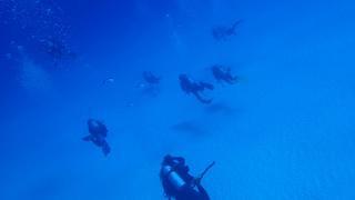 サイパンダイビング