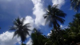 サイパンダイビング