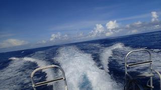 サイパンダイビング