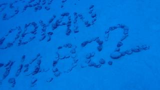 サイパンダイビング