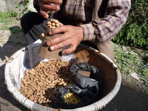 歩く店屋さん２