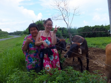 サイパン ダイビングライセンス