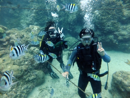 サイパン 体験ダイビング