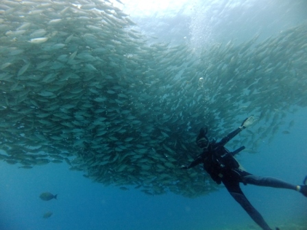 サイパン ダイビングライセンス
