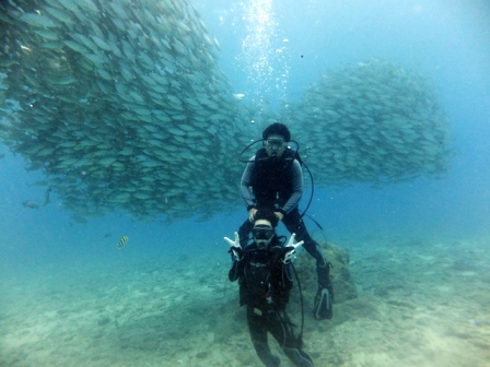 サイパン ダイビングショップ