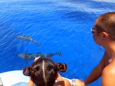 サイパン ダイビングライセンス