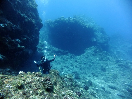 サイパン ダイビング