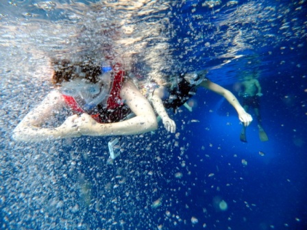 サイパン ダイビング