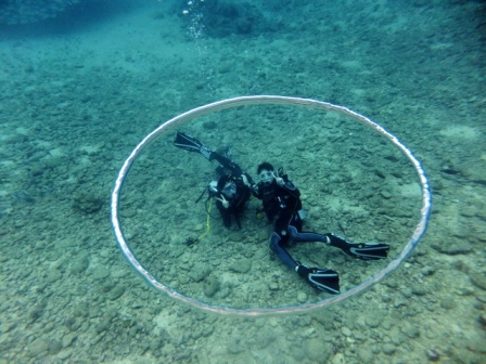 サイパン ダイビング