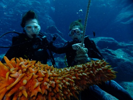 サイパン ダイビング