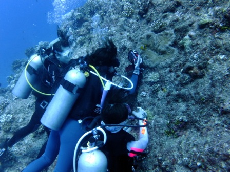 サイパン ダイビング