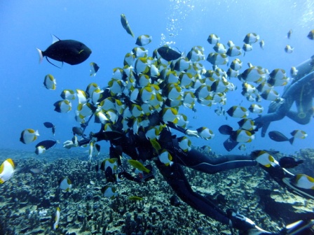 サイパン ダイビング