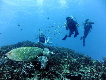 サイパン ダイビング