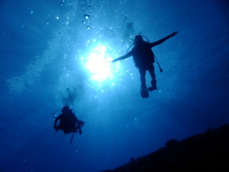 サイパン ダイビング