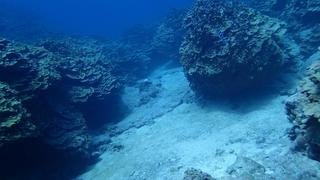 サイパンダイビング