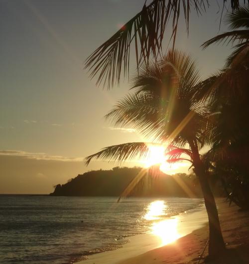 フィジーの朝日! 朝日9.08