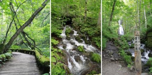 奥入瀬渓流 雲井の滝