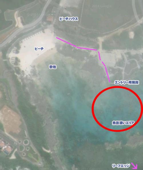 シュノーケリング