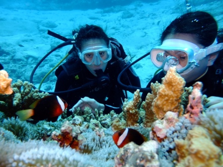 サイパン ダイビング