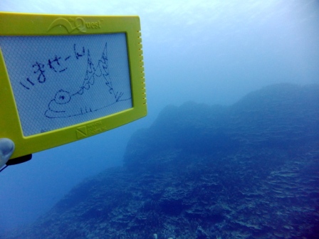 サイパン ダイビング