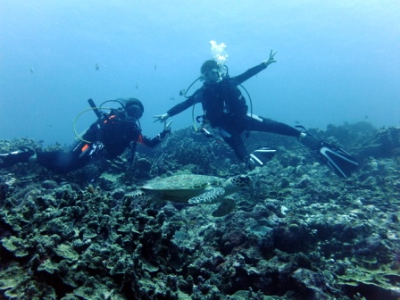 サイパン ダイビング