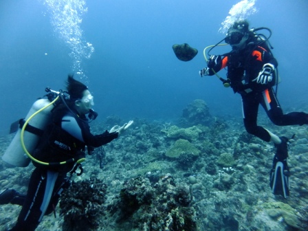 サイパン ダイビング