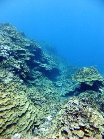 サイパン ダイビング