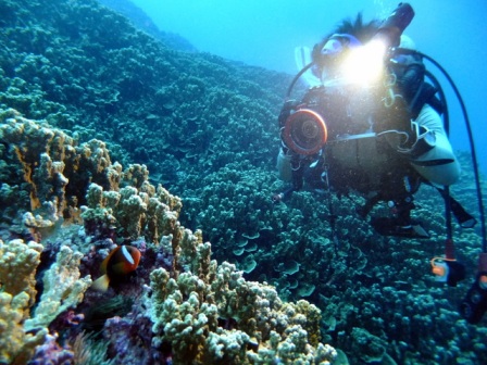 サイパン ダイビング