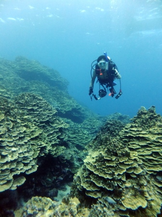 サイパン ダイビング