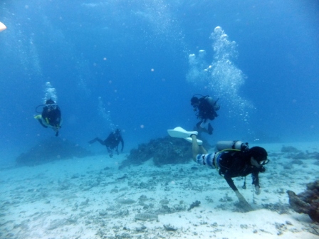 サイパン ダイビング