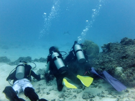 サイパン ダイビング