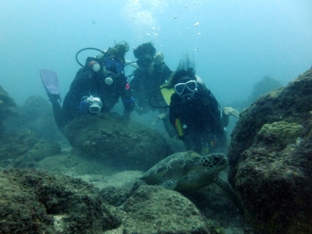 サイパン ダイビング