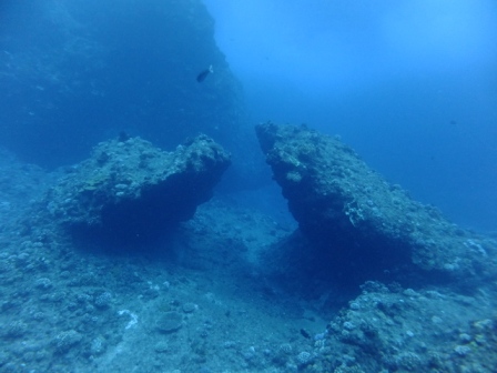 サイパン ダイビングライセンス