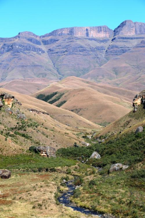 ドラケンスバーグ